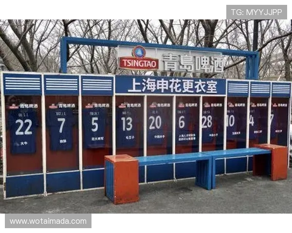 上海排球队状态分析：聚焦球队表现与未来发展方向