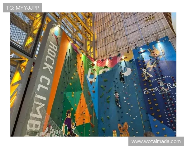 北京攀岩队耐力训练揭秘:如何在高强度挑战中提升攀岩表现 北京攀岩队耐力训练揭秘:如何在高强度挑战中提升攀岩表现