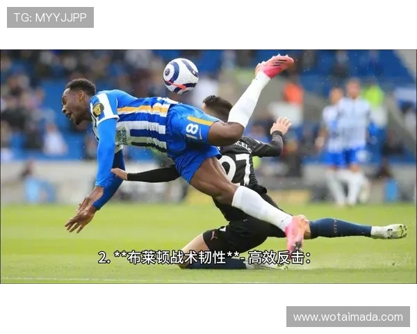 加的夫城与布赖顿的激烈对决谁能在英超赛场上笑到最后