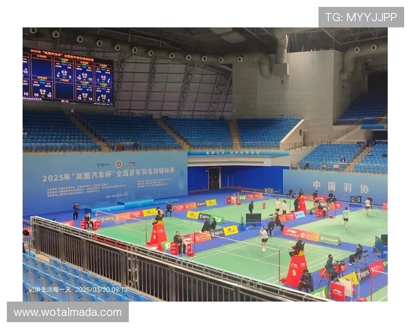 南京羽毛球队在联赛中的实力展现与未来发展潜力分析