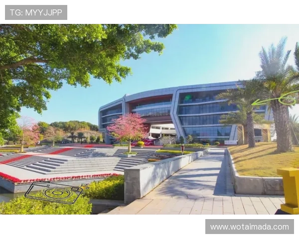 广州排球队中路突破创新之路探索与实践分析 广州排球队中路突破创新之路探索与实践分析