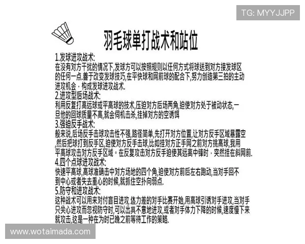 广州羽毛球队进攻战术解析与热点关注