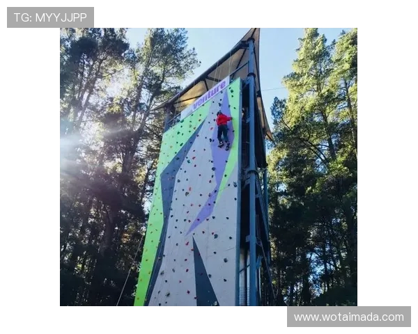 攀岩女神刘静的成功秘诀与心路历程全揭秘